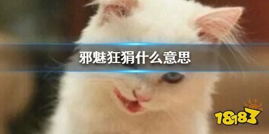 邪魅狂狷什么意思 邪魅狂狷的一笑