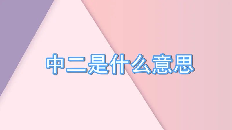 中二是什么意思