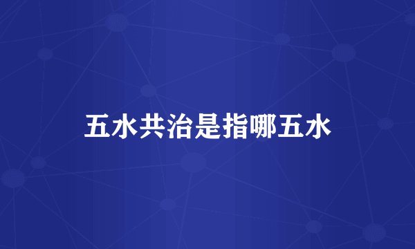 五水共治是指哪五水