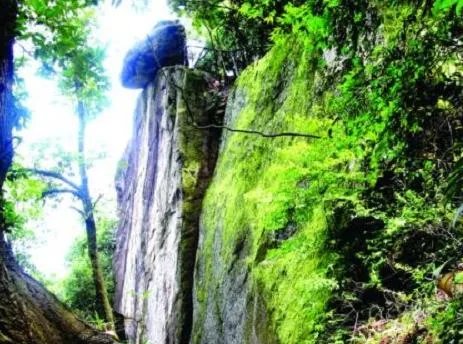 福建7地入选“中国森林氧吧”,分别是哪7个?