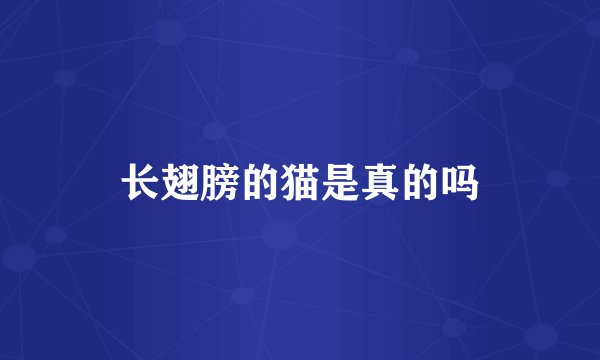 长翅膀的猫是真的吗