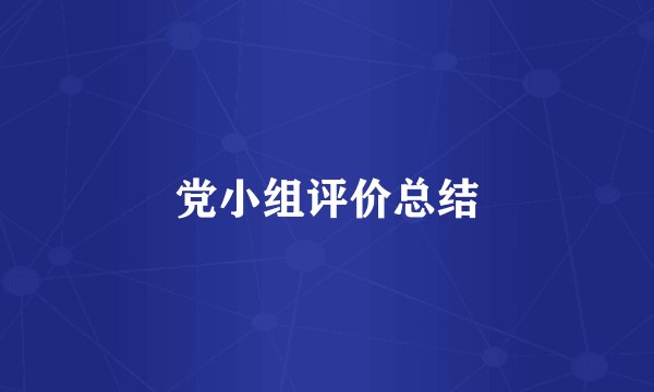 党小组评价总结