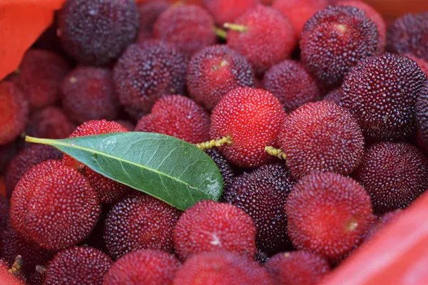 常熟特产有哪些 常熟有哪些特产