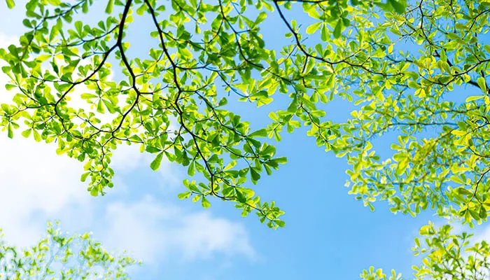 2022年什么时候打春 2022年打春时间是什么时候