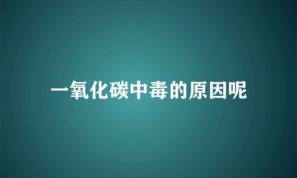 一氧化碳中毒的原因呢