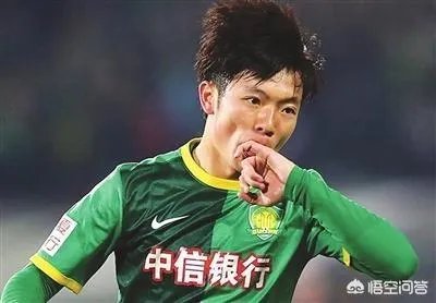 如何评价张稀哲