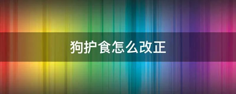 狗护食怎么改正
