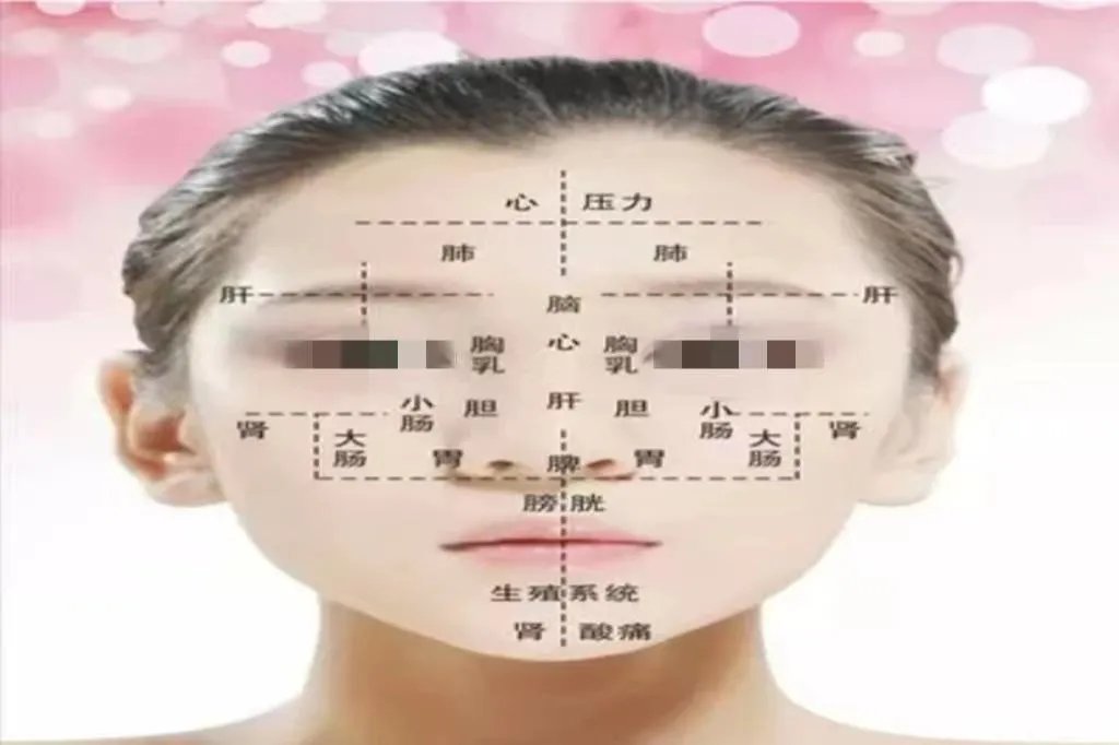 额头是什么器官的反射区图解