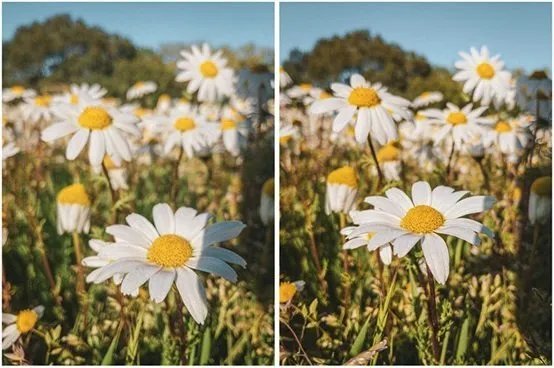 ipad pro2018和2020的区别_ipad pro2020和2018哪个好