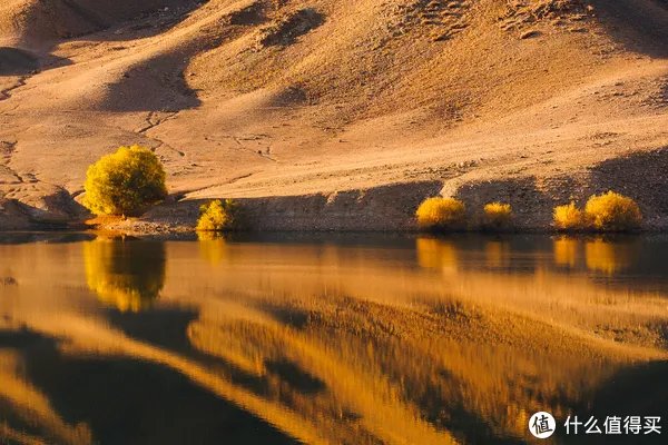 漫谈M43 篇一：M43画幅相机？这个相机体系有什么优劣？有图有真相！