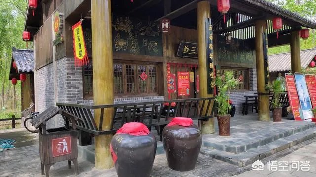 合肥滨湖国家湿地森林公园，好不好玩呢？