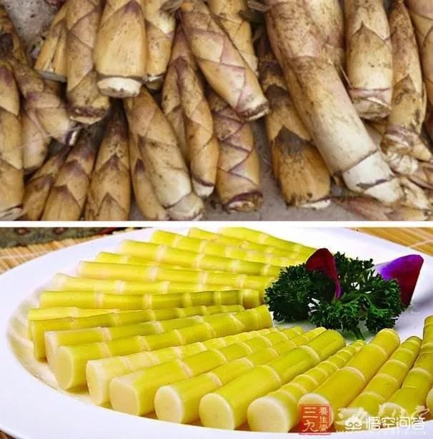 苦竹笋有什么功效？