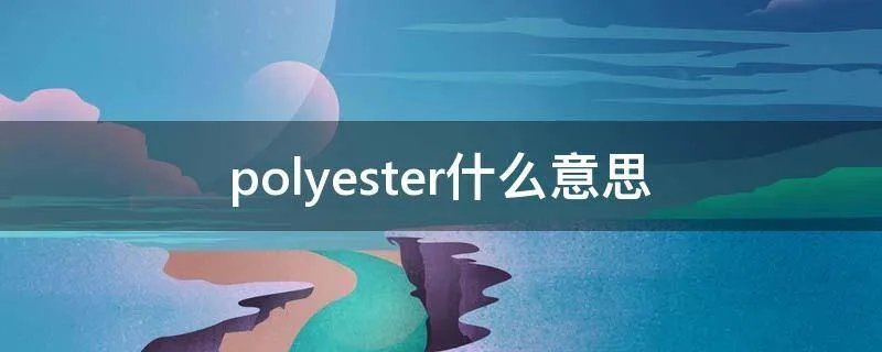 polyester什么意思
