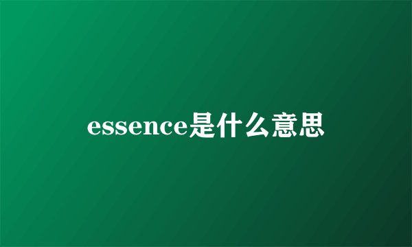 essence是什么意思