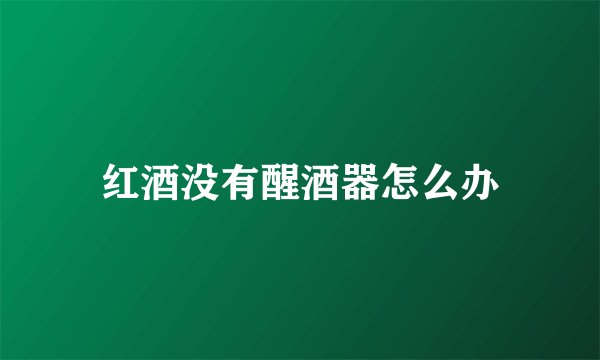红酒没有醒酒器怎么办