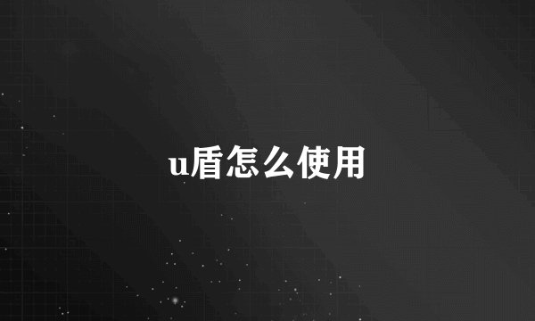 u盾怎么使用
