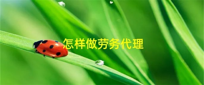 怎样做劳务代理