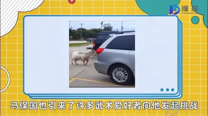 马保国是什么梗