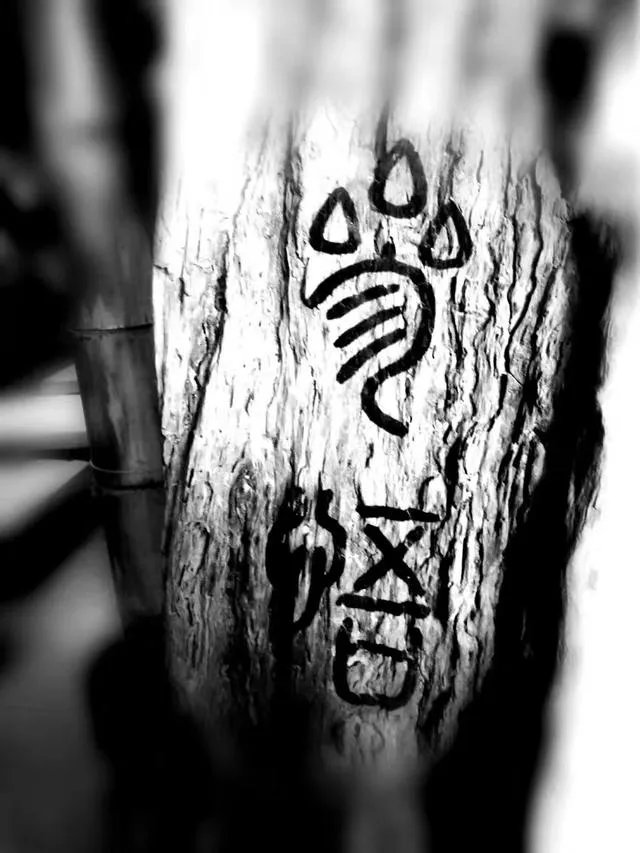 理科热门专业有哪些?