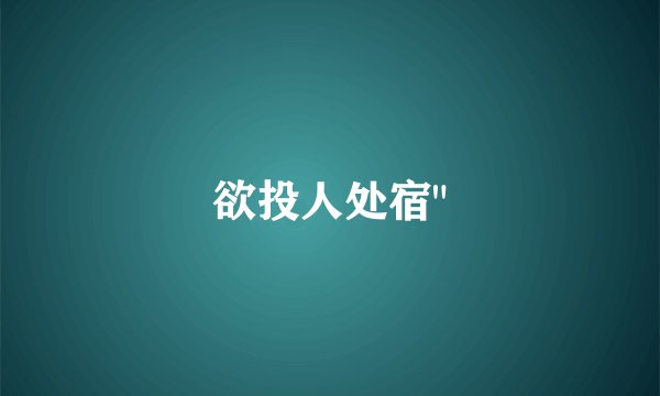 欲投人处宿