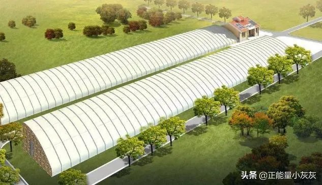 日光温室是什么？