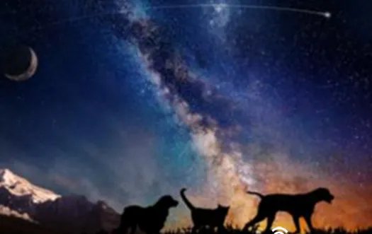 美公司推出的太空葬礼是什么？