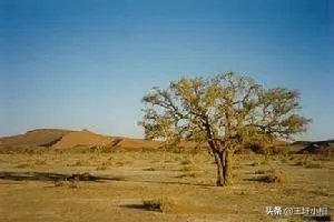 今年山东为何如此大旱?