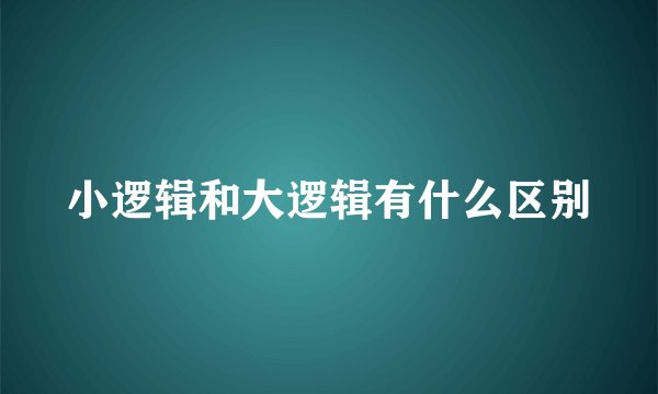 小逻辑和大逻辑有什么区别