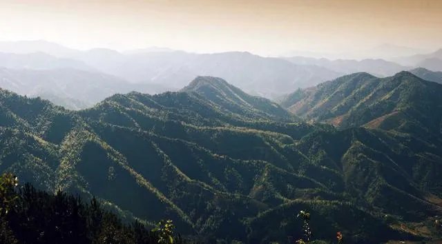 福建7地入选“中国森林氧吧”,分别是哪7个?