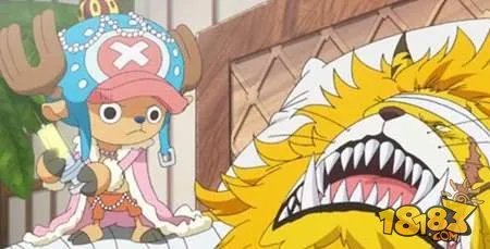 海贼王765集预告 去见猫蝮蛇大人