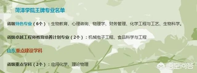 山东省的荷泽学院是一所怎样的大学？实力如何？