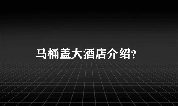 马桶盖大酒店介绍？