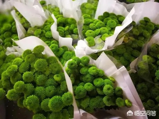 云南有哪些大的鲜花市场?