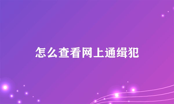 怎么查看网上通缉犯