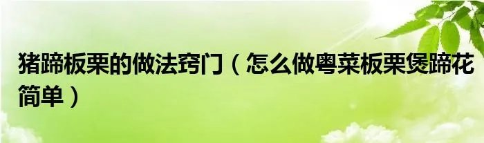猪蹄板栗的做法窍门（怎么做粤菜板栗煲蹄花简单）