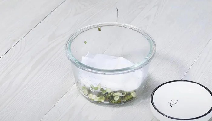 怎么发绿豆芽 自己发绿豆芽