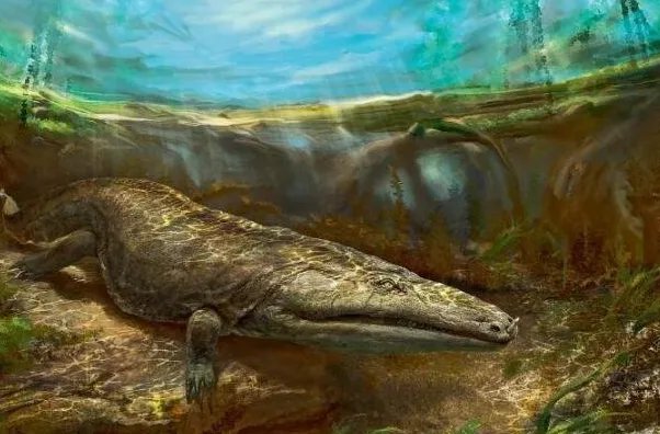 史前最大的青蛙：虾蟆螈，长度达4-5米