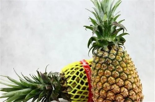 凤梨与菠萝的区别是什么 凤梨和菠萝有哪些营养价值