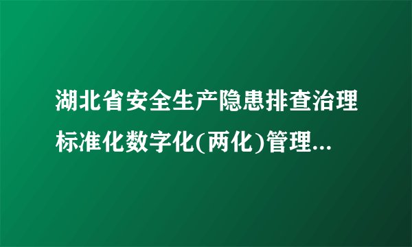 湖北省安全生产隐患排查治理标准化数字化(两化)管理系统 已停产怎么处？