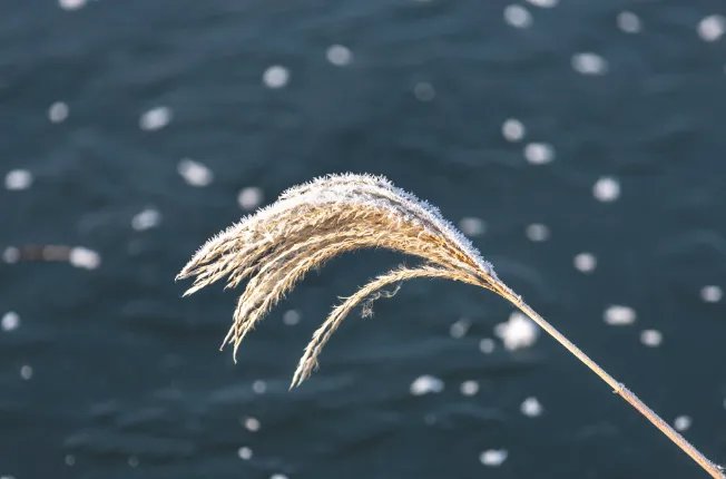 冬至是什么时候 冬至的日期是怎么定的