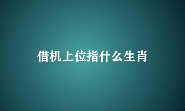 借机上位指什么生肖
