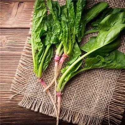 血糖高的人吃什么好