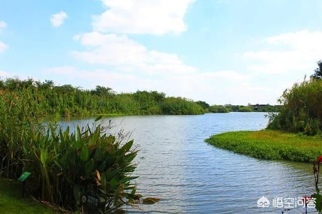 京剧《沙家浜》的前身是什么？