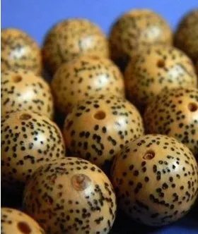 菩提子的种类及各种形态和功效