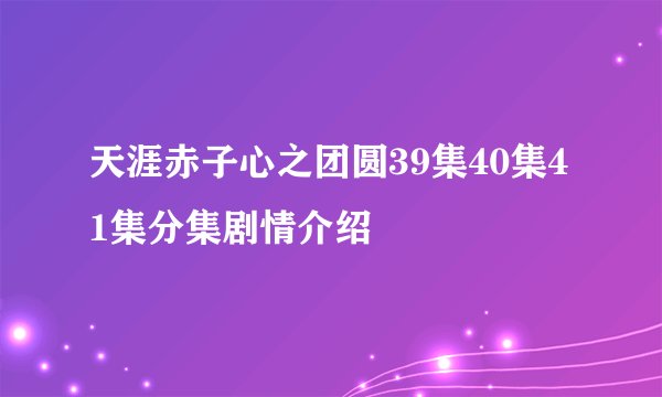 天涯赤子心之团圆39集40集41集分集剧情介绍