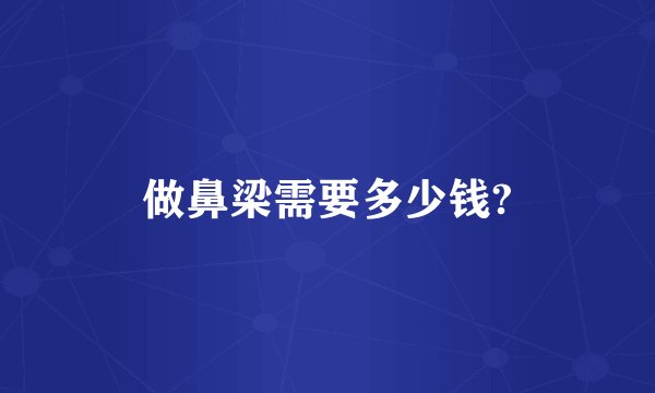 做鼻梁需要多少钱?