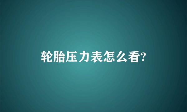 轮胎压力表怎么看?
