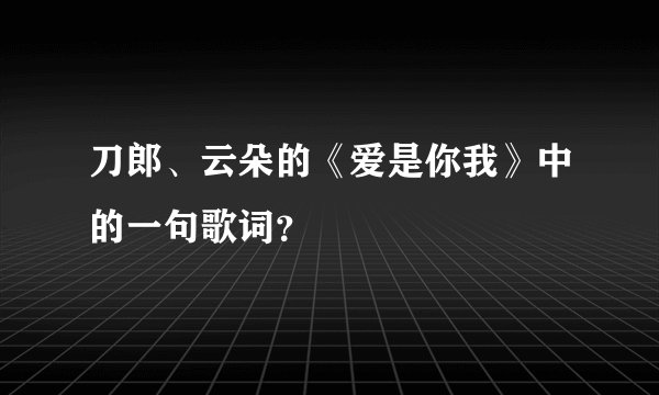 刀郎、云朵的《爱是你我》中的一句歌词？