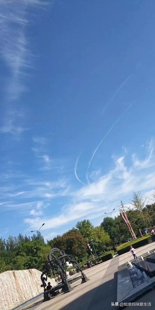 电视剧《一树桃花开》,相比盛开,为啥狄英最后能治服罗耀辉母?