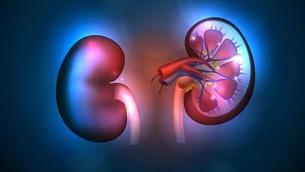 肾积水的原因有哪些